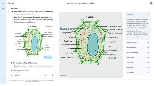 Wagtailvideo e6k80n42 thumb.jpg