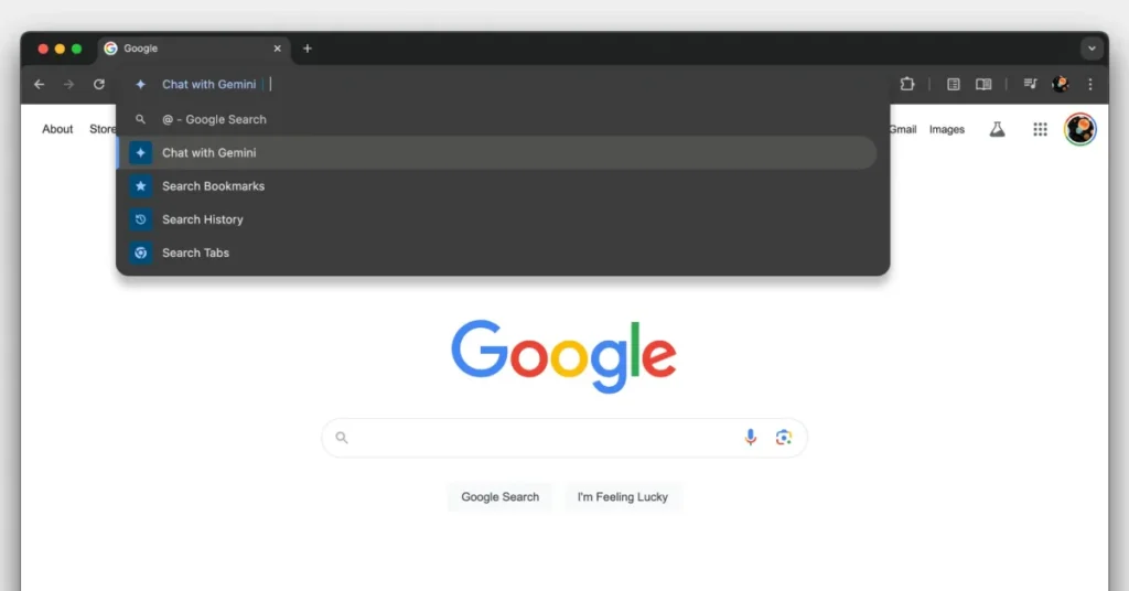Gemini chrome address bar cover.jpeg