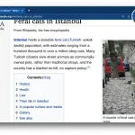 Keep notes on wikipedia