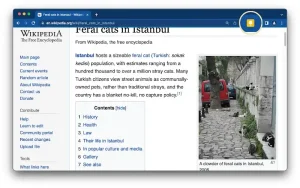 Keep notes on wikipedia