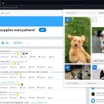 Reddit image downloader