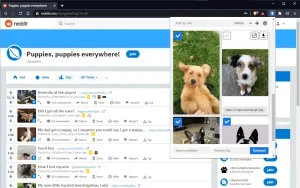 Reddit image downloader