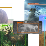 Speciessocial.width 1300.png