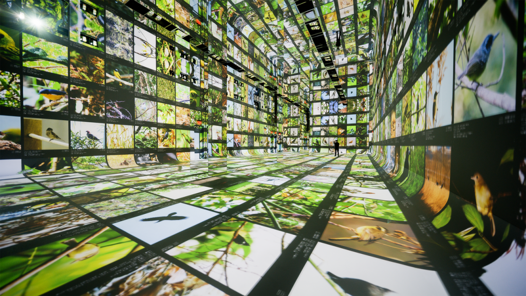 Gallery a data pavilion.width 1300.png - Final Title: "AI Art Museum: Google's Dataland"  
This succinctly captures the essence for tech enthusiasts, Google's role, and resonates with audiences through "AI Art Museum" and "Dataland," blending clarity with innovation.