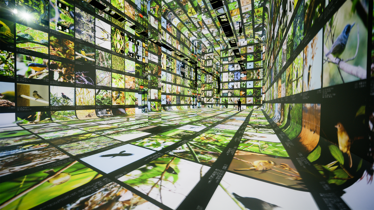 Gallery a data pavilion.width 1300.png - Final Title: "AI Art Museum: Google's Dataland"  
This succinctly captures the essence for tech enthusiasts, Google's role, and resonates with audiences through "AI Art Museum" and "Dataland," blending clarity with innovation.