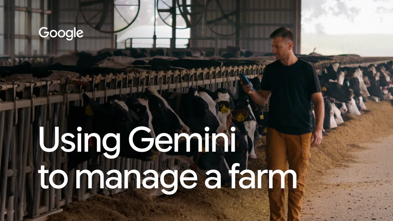 Gemini flash michigan dairy farmer thumbnail.width 1300.png - User Safety: safe