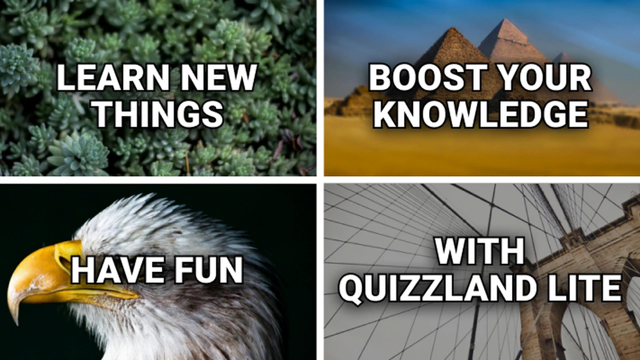 QuizzLand Trivia Lite board with general knowledge explanations on CrazyGames