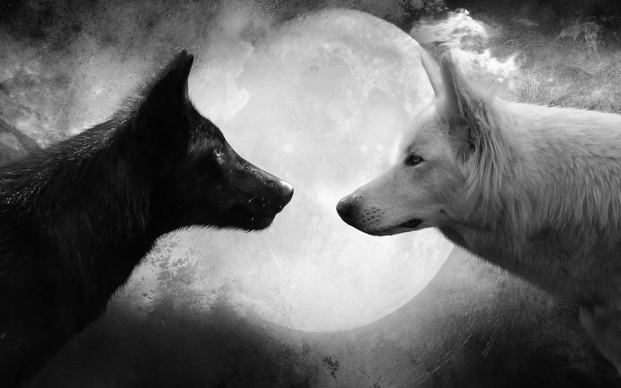 Wolf Theme Chrome Theme Wolf Theme Chrome Theme