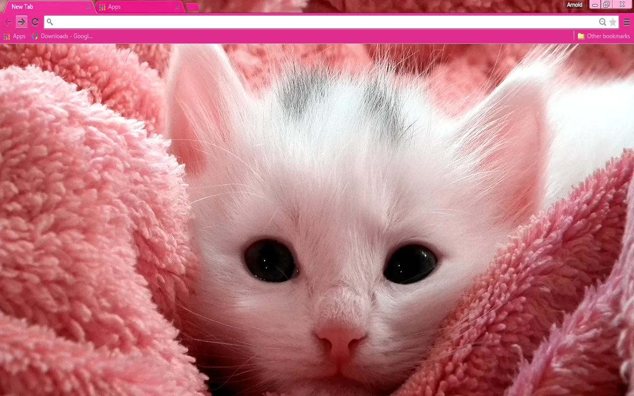 Pink Kitten Chrome Theme Pink Kitten Chrome Theme