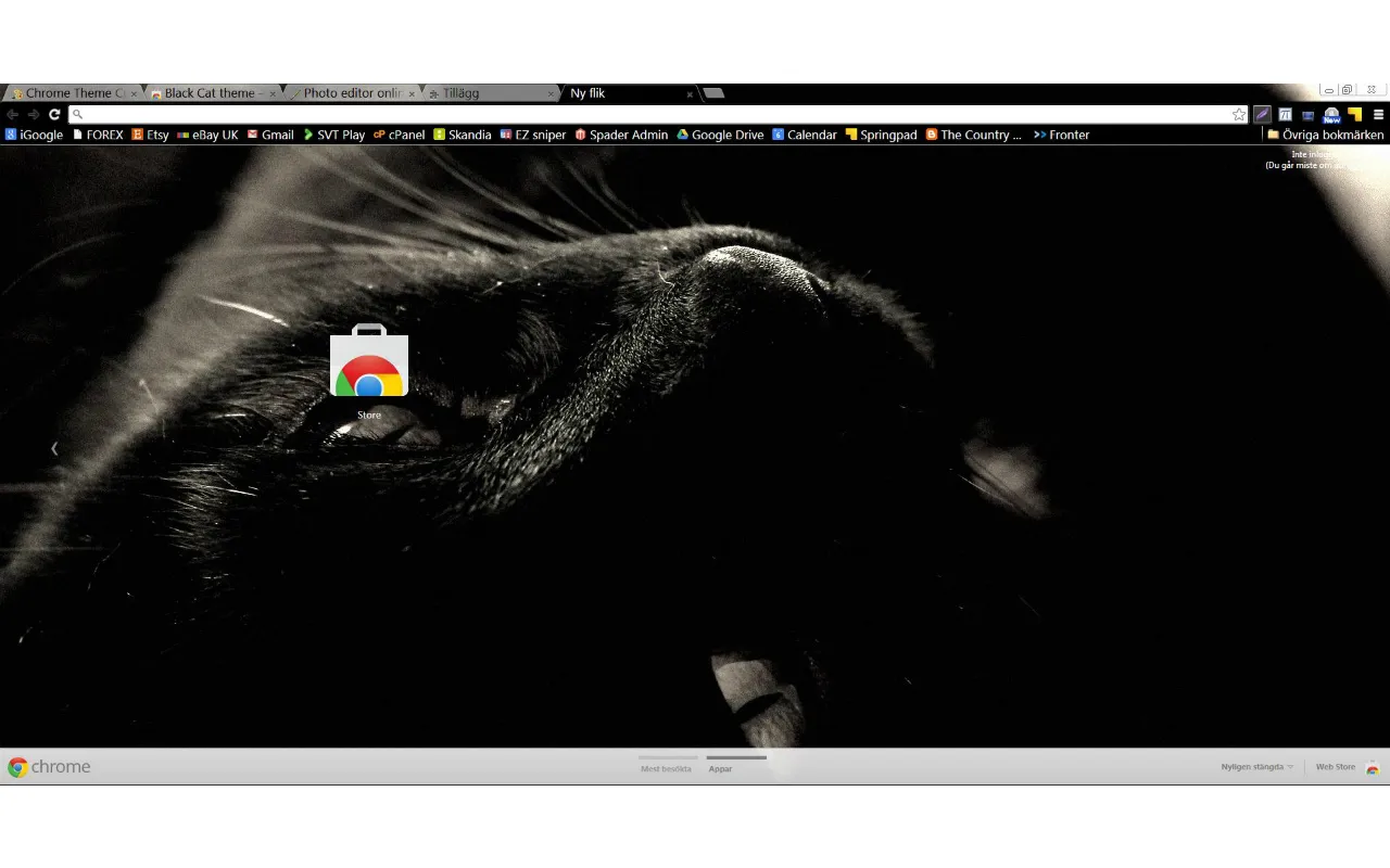 Black Cat Theme Chrome Theme Black Cat Theme Chrome Theme