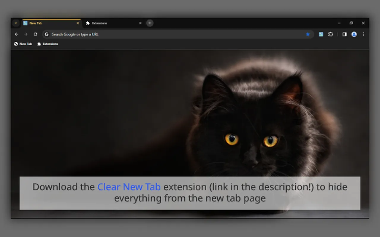 Black Cat 2 1440p Chrome Theme Black Cat 2 1440p Chrome Theme