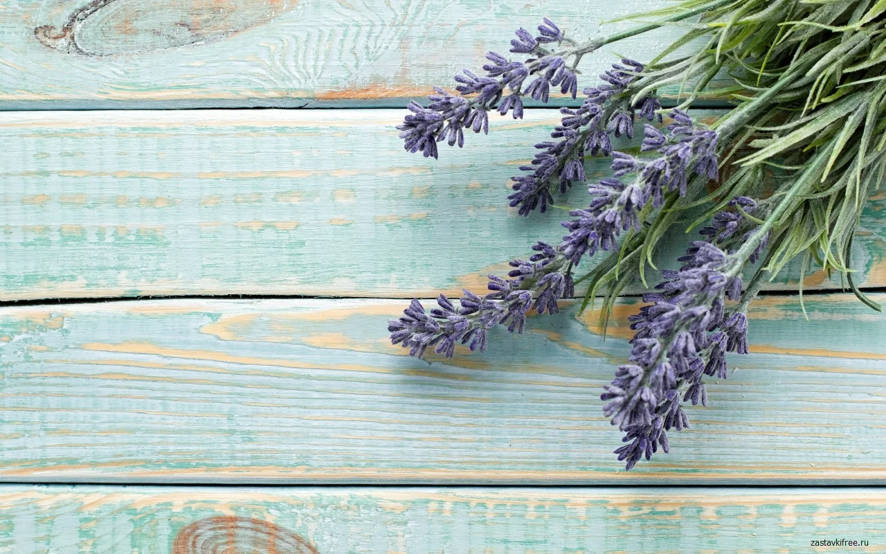 Lavender Chrome Theme