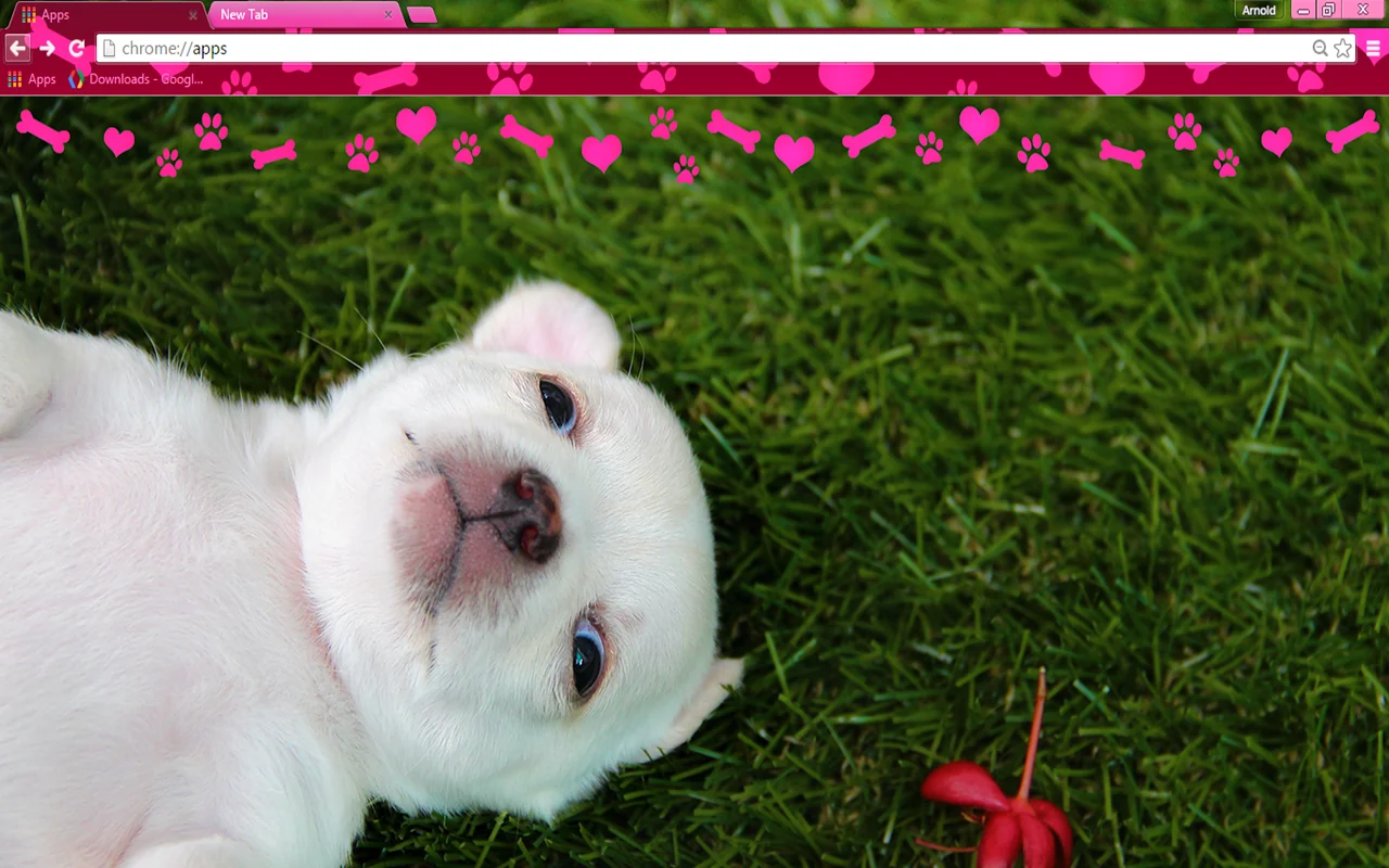 Puppy Love Chrome Theme Puppy Love Chrome Theme