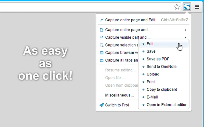 FireShot Chrome extension menu showing options to capture entire webpage, visible area, or selection and save to PDF