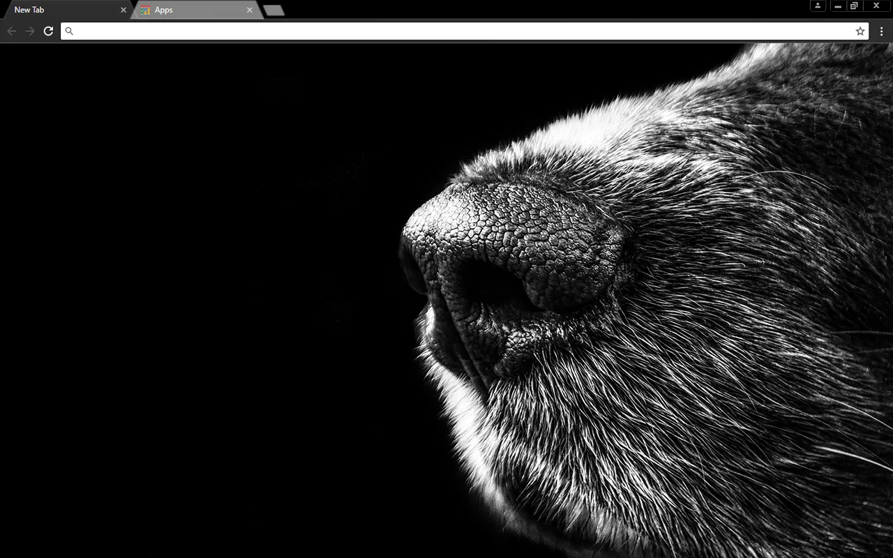 Dog Nose Chrome Theme Dog Nose Chrome Theme