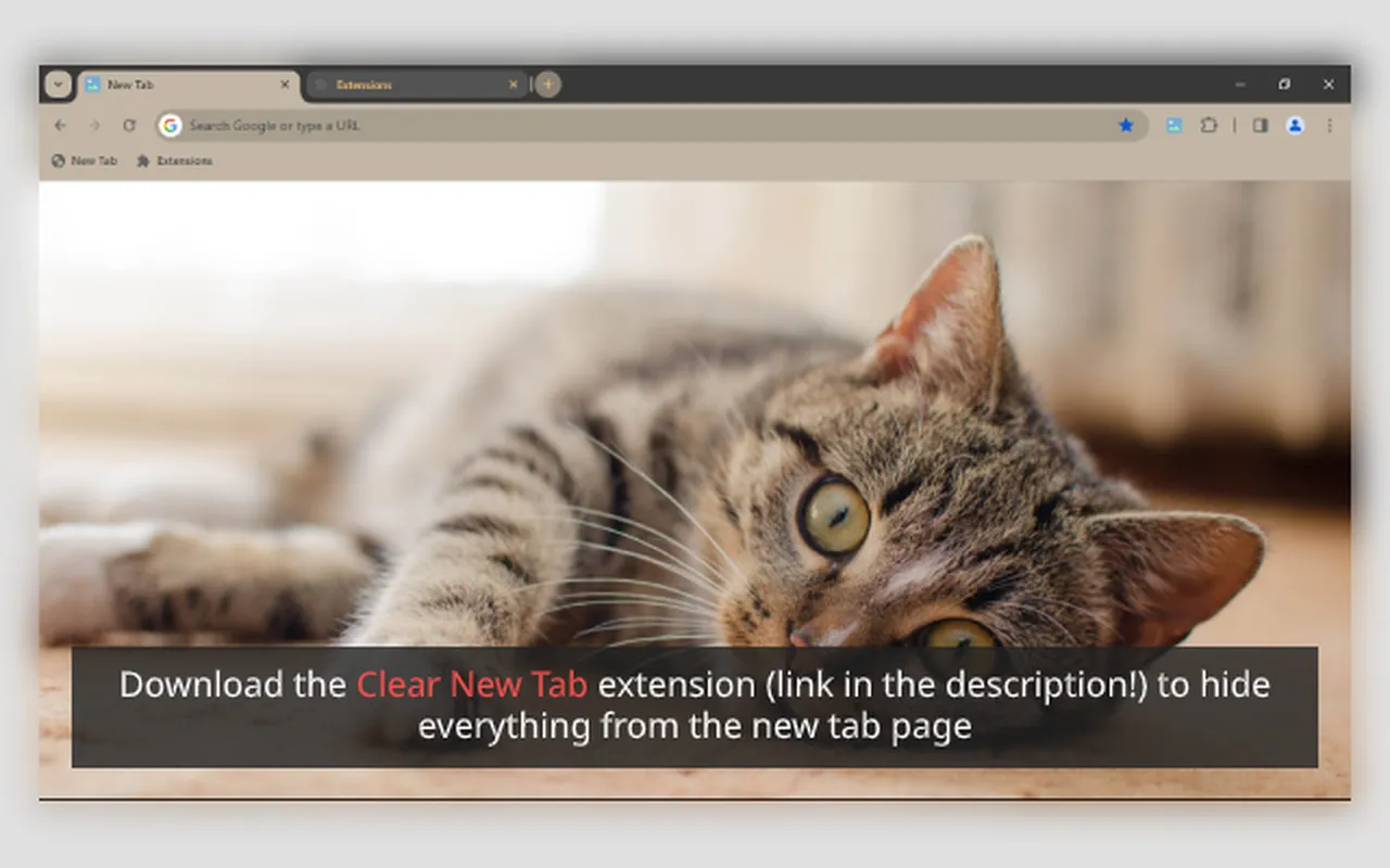 Tabby Cat 1080p Chrome Theme Tabby Cat 1080p Chrome Theme