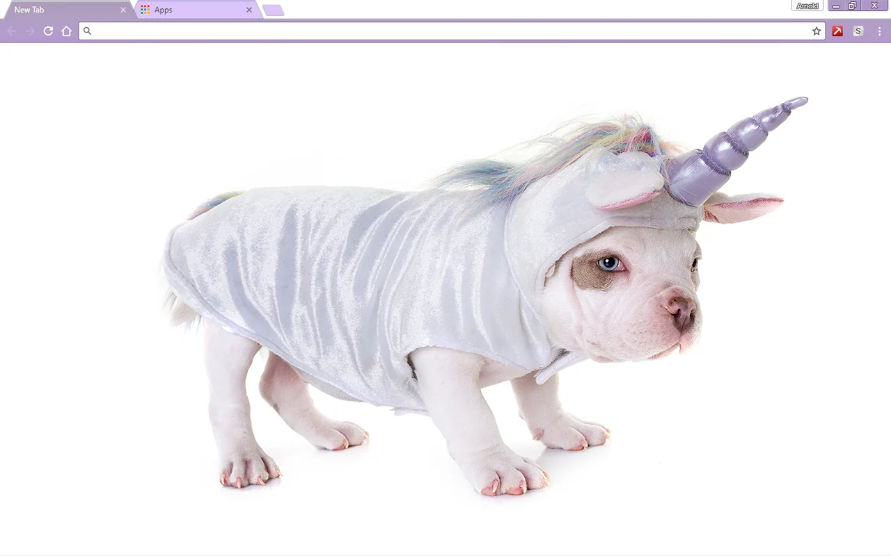 Unicorn Puppy Chrome Theme Unicorn Puppy Chrome Theme