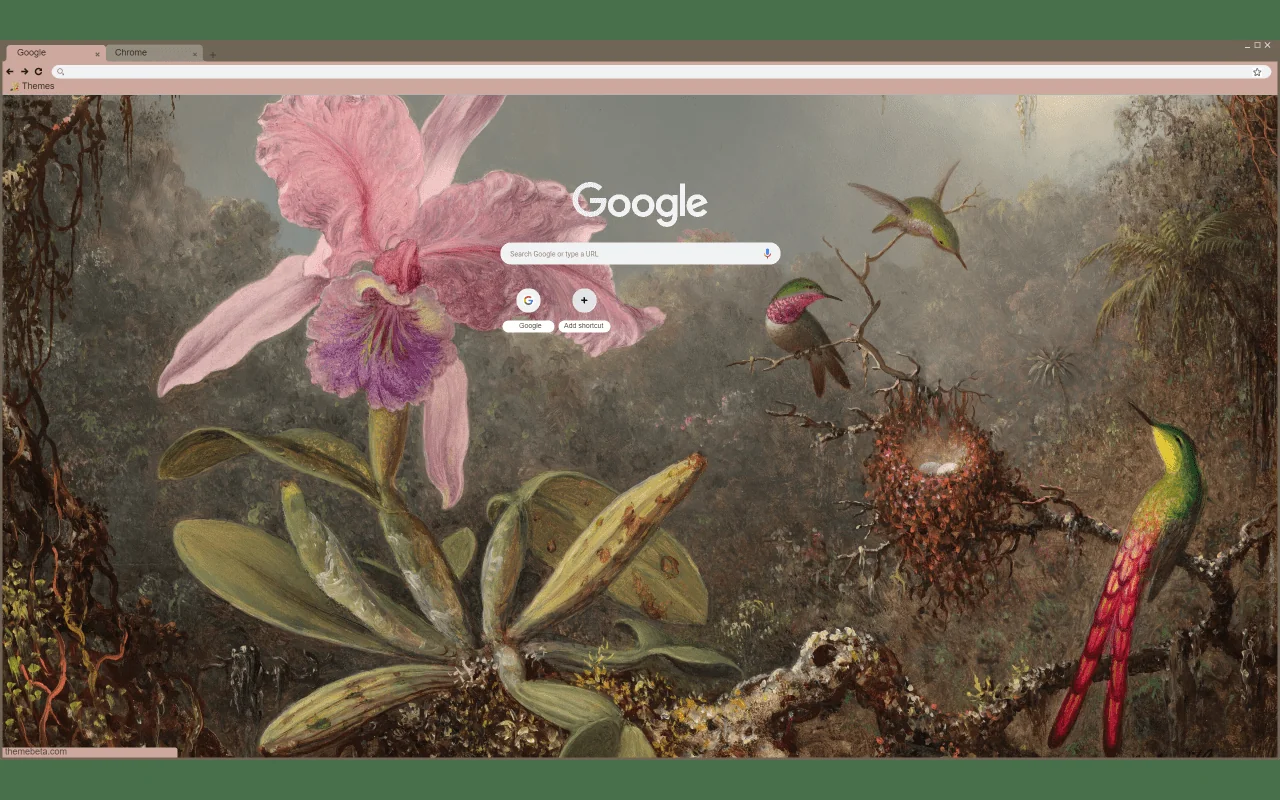 Orchid and Hummingbirds Chrome Theme