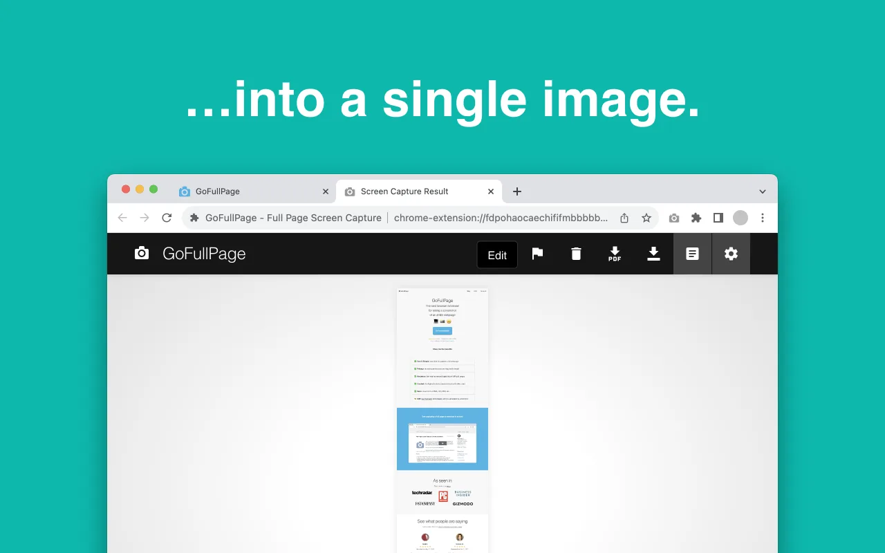 GoFullPage capture result in a browser tab, with the text into a single image