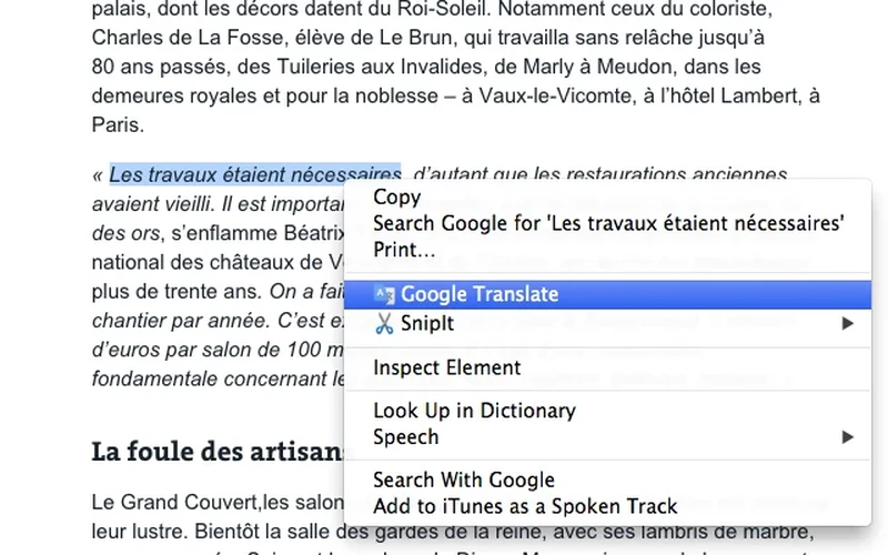 Google Translate extension translating highlighted words and phrases during classroom reading