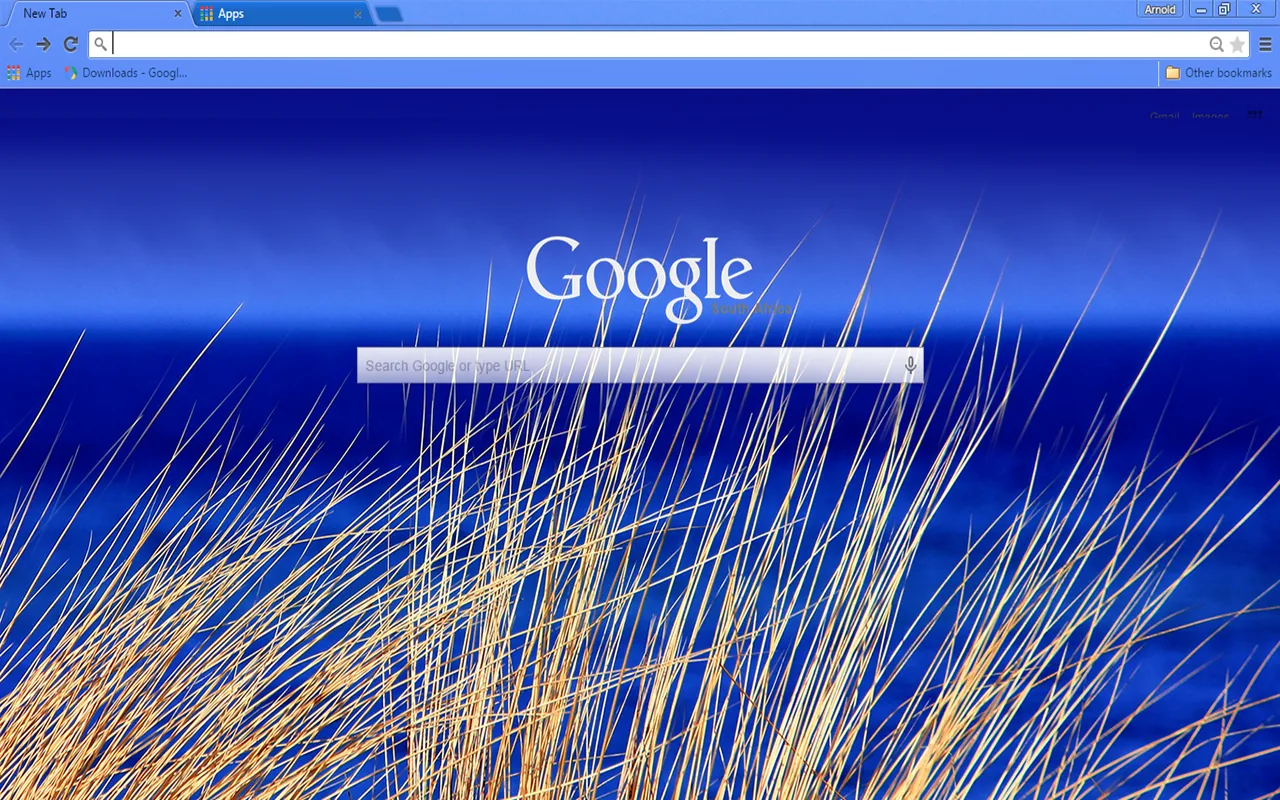 Beach Blue Chrome theme showing golden beach grass in the foreground against a deep blue ocean and sky, with a light blue toolbar