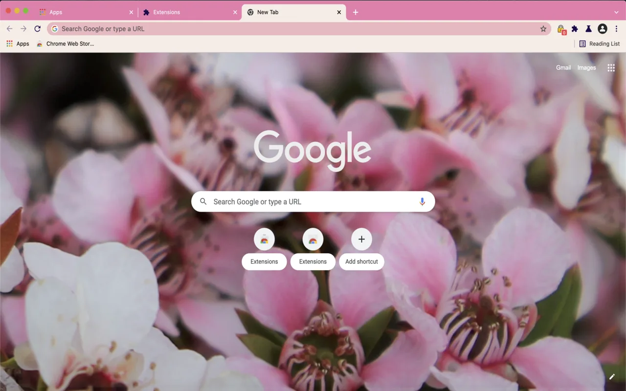 Soft pink cherry blossoms filling a Chrome new-tab window