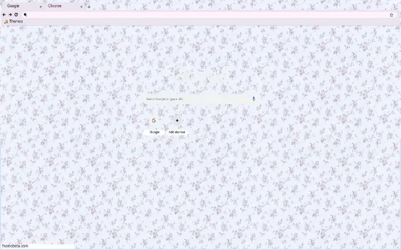 Dense tiny lavender flowers on a white background