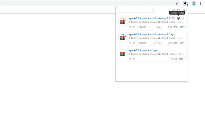 Download Manager by xinghai popup window in Chrome